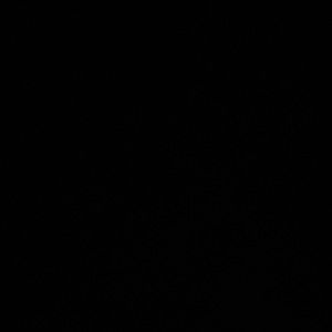 Meet your Posher, Saira